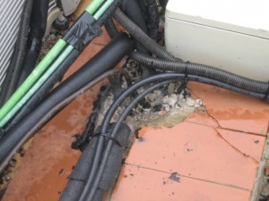 https://enriquealario.com/%C2%A1odio-el-clorocaucho/